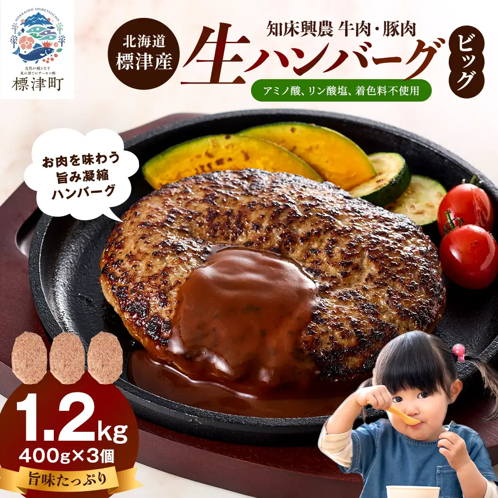 生ハンバーグ 400g×3個セット 冷凍でお届け 国産 牛肉 豚肉 ギフトにもおすすめ【配送不可地域：離島】【AC010】