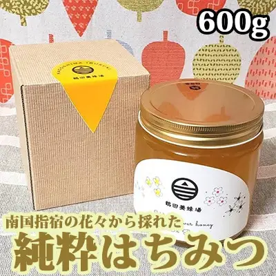 はちみつ 蜂蜜 南国指宿の花々から採れた 純粋 はちみつ 600g 鶴田養蜂場 IB047-001 はちみつ 蜂蜜