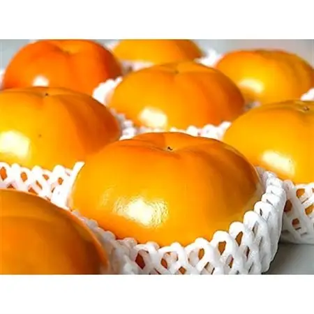 柿【先行受付】柳フルーツ園 富有柿 約5kg【配送不可地域：離島】【1077824】