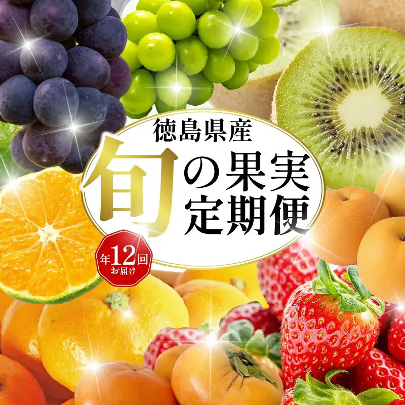 旬の果実 定期便 12回 フルーツ 