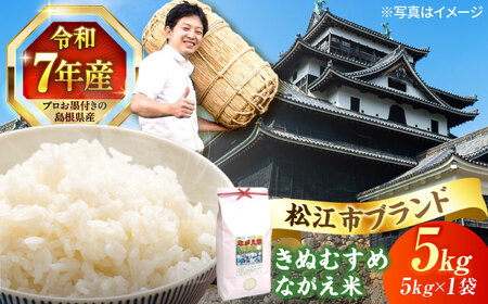 【令和7年産】松江市産きぬむすめ「ながえ米」5kg(5kg×1) 島根県松江市/有限会社藤本米穀店[ALCG015]