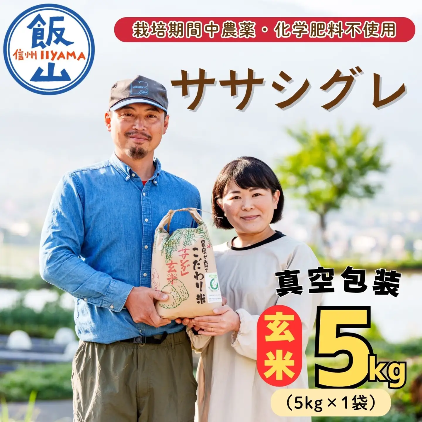 玄米 【5kg】 令和7年産 ササシグレ 長野県産 【やよい農園】7-91