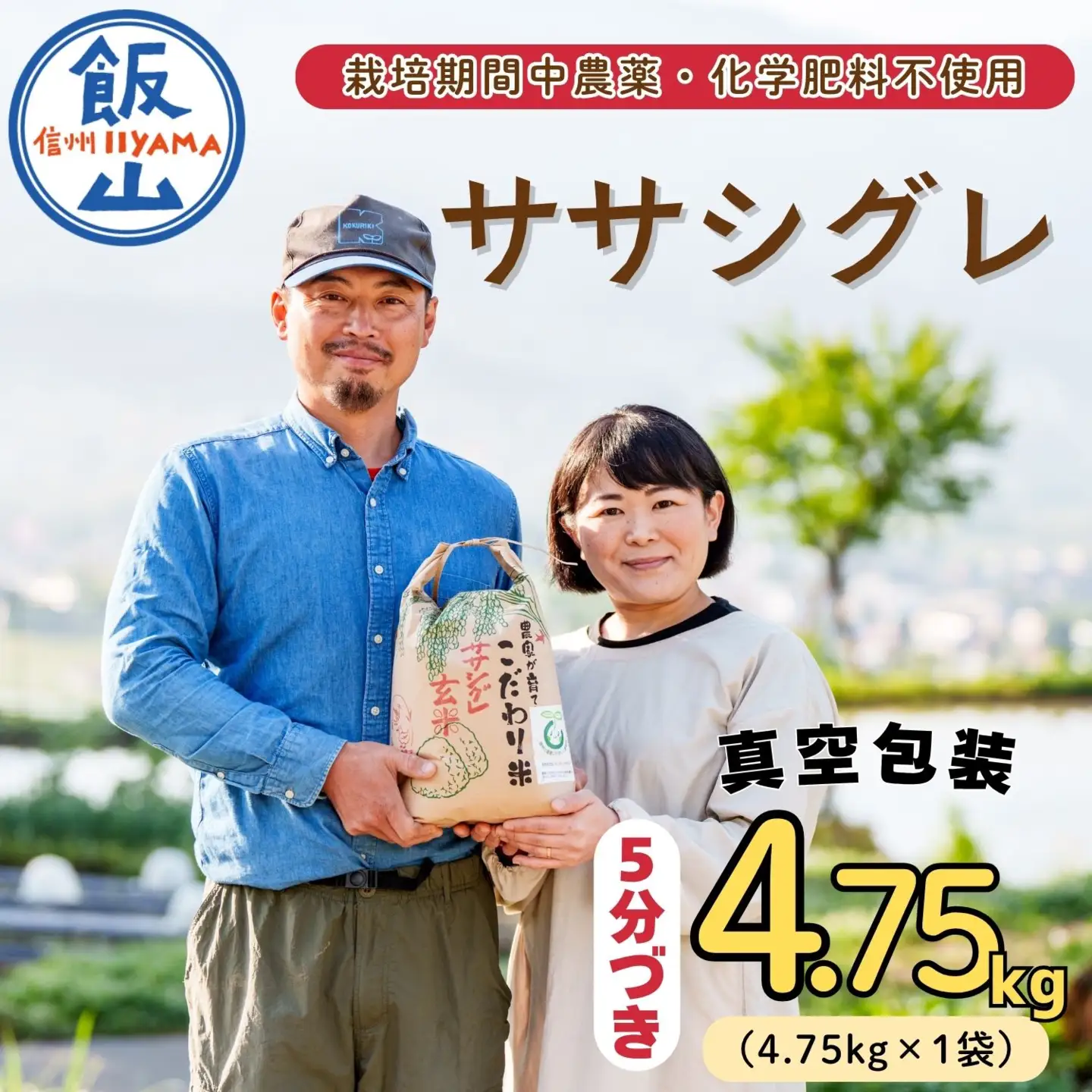 精米5分つき 【4.75kg】 令和7年産 ササシグレ 長野県産 【やよい農園】7-90