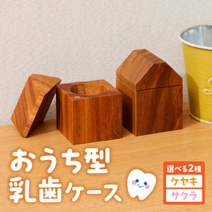 おうち型 乳歯ケース 木製 乳歯入れ Teeth House［087Y11］ 成長記念 子ども用 メモリアルグッズ 出産祝い 入学祝い ナチュラルデザイン ハンドメイド インテリア雑貨 小牧市 送料無料