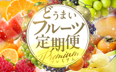 フルーツ定期便 6回 プレミアム 果物 どうまい