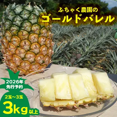 【2026年先行予約】ふちゃく農園のゴールドバレル3kg以上 パイン パイナップル パインアップル 高級パイン 沖縄県産パイン フルーツ 南国フルーツ トロピカルフルーツ 高級フルーツ 果物 くだもの 果実 デザート 甘い 人気 プチギフト 産地直送 国産 沖縄 名護市