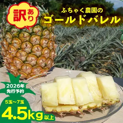 【2026年先行予約】【訳あり】ふちゃく農園のゴールドバレル4.5kg以上 パイン パイナップル パインアップル 高級パイン 沖縄県産パイン フルーツ 南国フルーツ トロピカルフルーツ 高級フルーツ 果物 くだもの 果実 デザート 甘い 人気 プチギフト 産地直送 国産 沖縄 名護市