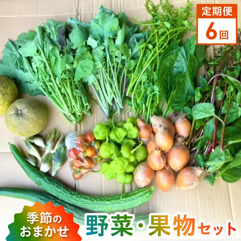S096-004-T06_【定期便6回】季節のおまかせ野菜と果物セット