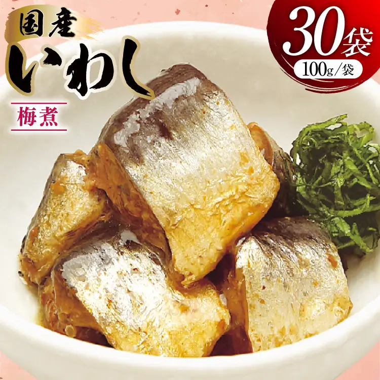 いわし 梅煮 100g 30袋 計3kg [気仙沼市物産振興協会 宮城県 気仙沼市 20565956]