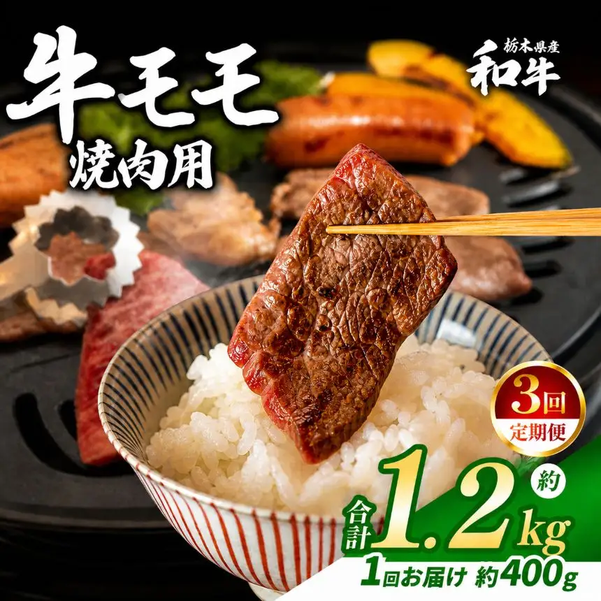 【定期便3回】栃木県産和牛 モモ焼き肉 約400g