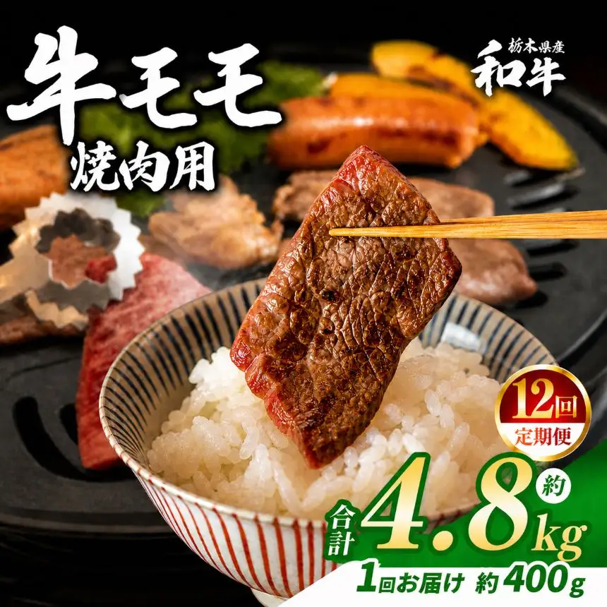 【定期便12回】栃木県産和牛 モモ焼き肉 約400g