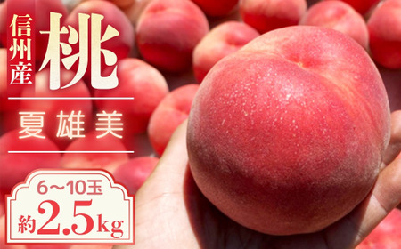 【2026年発送先行予約】桃　夏雄美　約2.5kg【6～10玉】農家直送　もも