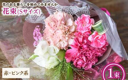 花束(Sサイズ・赤ピンク系・1束) 花束 ブーケ フラワーギフト 季節の花 生花 花のギフト お祝い 誕生日 卒業式 発表会 記念日 プレゼント ギフト 贈り物 クール便対応 【m56-03-S-A】【Porte-Bonheur】