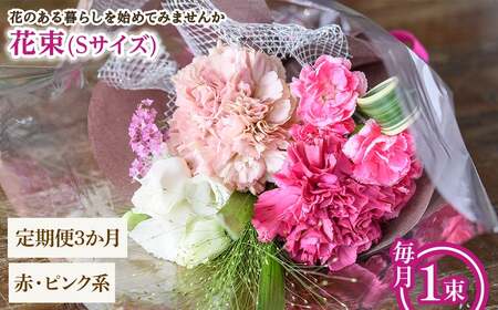 花束(Sサイズ・赤ピンク系・3ヶ月・毎月1束) 花束 ブーケ フラワーギフト 季節の花 生花 お祝い 誕生日 記念日 プレゼント ギフト 贈り物 【m56-05-SA3】【Porte-Bonheur】