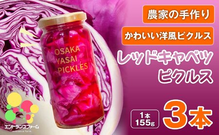 ＜農家の手作り おかずピクルス！＞レッドキャベツピクルス(3本) 常温 常温保存 酢漬け 漬物 おかず サイドディッシュ ヘルシー カラフル おつまみ ギフト 贈答用 【m104-04-B】【エントランスファーム】