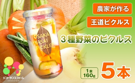 ＜農家が作る 王道ピクルス！＞3種野菜のピクルス(5本) 常温 常温保存 酢漬け 漬物 おかず サイドディッシュ ヘルシー カラフル おつまみ 【m104-05-C】【エントランスファーム】