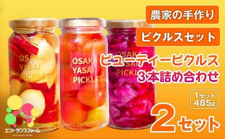 ＜農家の手作り ピクルスセット！＞ビューティーピクルス詰め合わせ(2セット・計6本)  さつまいも プチトマト はちみつ 柚子 レッドキャベツ 酢漬け 漬物 おかず ヘルシー カラフル おつまみ ギフト 贈答用 【m104-07-B】【エントランスファーム】