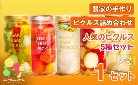 ＜農家の手作り ピクルス詰め合わせ！＞人気のピクルス5種セット(1セット・計5本)  タマネギと青じそ梅かつお さつまいもと柚子のサワーバニラ 大根の梅かつお柚子 季節のピクルス 酢漬け 漬物 おかず ヘルシー 【m104-09-A】【エントランスファーム】