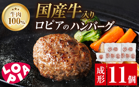ロピア 牛肉100％ 国産牛入りハンバーグ (成形140g×11個) 春日市限定 牛肉 味付け肉 下味付き ロピア LOPIA 味付け 惣菜 おかず 冷凍 焼くだけ タネ ＜離島配送不可＞【ksg1866】【ロピア】