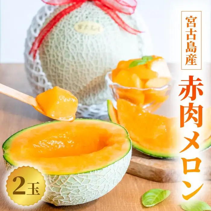 【2026年冬先行予約】宮古島産 赤肉メロン 2玉 【農家直送】 ＜とみお農園＞（TN02）
