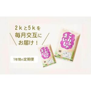 【復興支援】【12回定期便】お米2kgと5kgが交互に1年間届く！こりゃまいじゃ精米(奥能登柳田地区限定コシヒカリ)