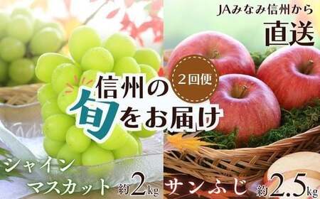 【2026年発送先行予約】【定期便】南信州産　人気果実の返礼品セット　＜シャインマスカット＞＜サンふじ＞　2回発送
