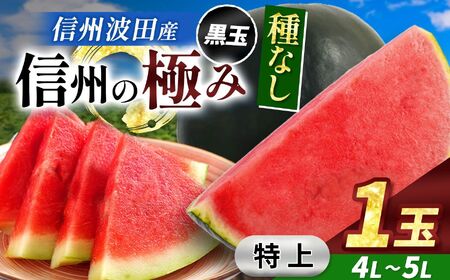 【先行受付】信州波田産 種無し黒玉スイカ！信州の極み 【特上】 4L～5Lサイズ 1玉