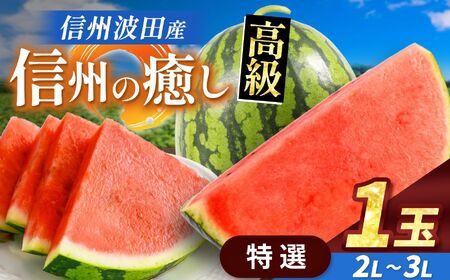 【先行受付】信州波田産 贈答用 高級スイカ！ 信州の癒し 【特選】 2L～3Lサイズ 1玉