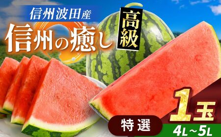 【先行受付】信州波田産 贈答用 高級スイカ！ 信州の癒し 【特選】 4L～5Lサイズ 1玉