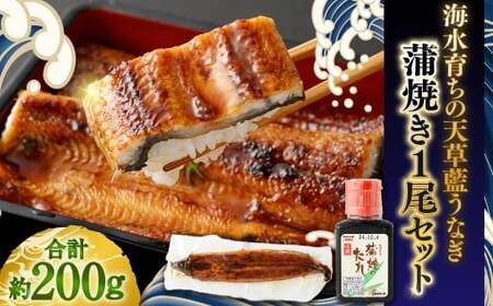 海水育ちの天草藍うなぎ 蒲焼き1尾セット【合計約200g】鰻 ウナギ うなぎ うなぎ蒲焼 鰻の蒲焼 うなぎ 国産