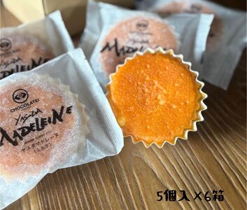 しょこら亭 ヤスダマドレーヌ（ミルク）5個入×6セット お菓子 菓子 スイーツ 贈答 1Z33034