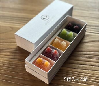 しょこら亭 シャ・ド・フリュイ（chat・do・fruits） 5個入り×4セット お菓子 菓子 スイーツ 洋菓子 フランス伝統菓子 贈答 1Z47024