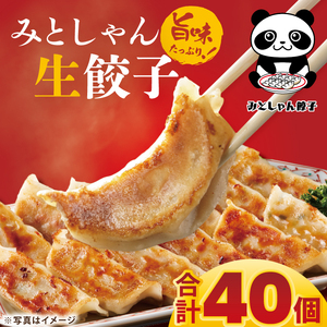 旨味たっぷり！本場プロの中華料理人が作る みとしゃん生餃子 40個（CS-2）