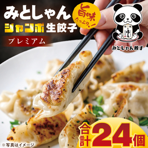 旨味たっぷり！本場プロの中華料理人が作る みとしゃんジャンボ餃子プレミアム 24個（CS-9）