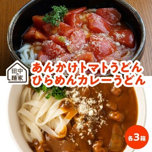 田中の麺家あんかけトマトうどん・ひらめんカレーうどん各3箱_田中の麺家 あんかけトマトうどん ひらめんカレーうどん 各 ３箱 詰め合わせ 国産たまねぎたっぷり 濃厚カレールー カレーうどん トマトうどん 食べ比べ 食品 加工食品 粉もの 麺 常温 お取り寄せ  お取り寄せグルメ 福岡県 久留米市 送料無料 〔Bu004〕