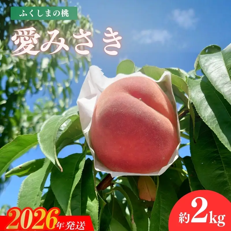 No.3234 福島のもも「愛みさき」 約2kg