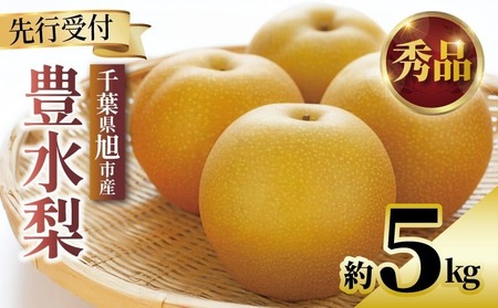 【2026年発送】豊水 梨 7-14玉 約5kg