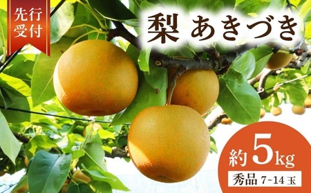 千葉県産 梨 あきづき 約 5kg
