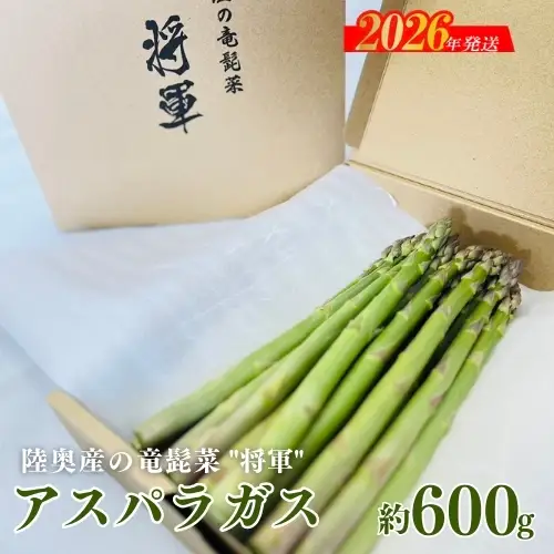 No.3249 陸奥産の竜髭菜（アスパラガス）"将軍" 約600g【2026年発送】