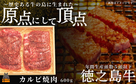 南原（はいばる）牧場 幻の徳之島牛 カルビ焼肉 600g ( 厳選 焼肉 プレミアム 高品質 鹿児島黒毛和牛 黒毛和牛 牛肉 万能 料理 徳之島 奄美 鹿児島 和牛ギャング )