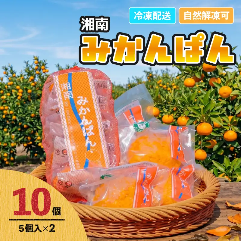 パン 湘南みかんぱん 10個 パン