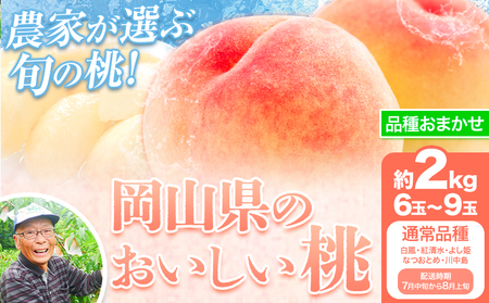 桃 通常品種おまかせ 2kg もも 桃