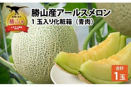 勝山産アールスメロン 1個入り（青肉）※2026年7月下旬以降順次発送 [A-060005]