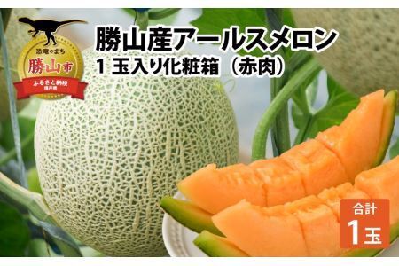 勝山産アールスメロン 1個入り（赤肉）※2026年7月下旬以降順次発送 [A-060006]