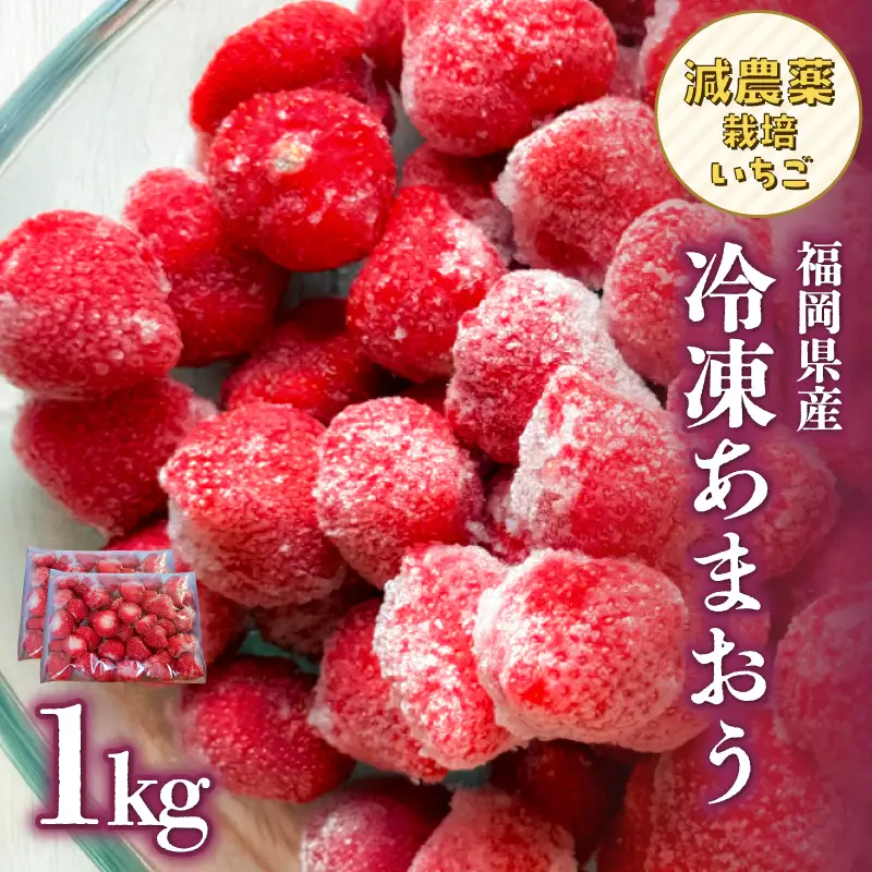冷凍いちご 500g×2パック【大月いちご園】 あまおう いちご 苺 イチゴ フルーツ くだもの 朝採り 冷凍 アレンジ 小分け 食べきり 福岡県 八女市 210-002