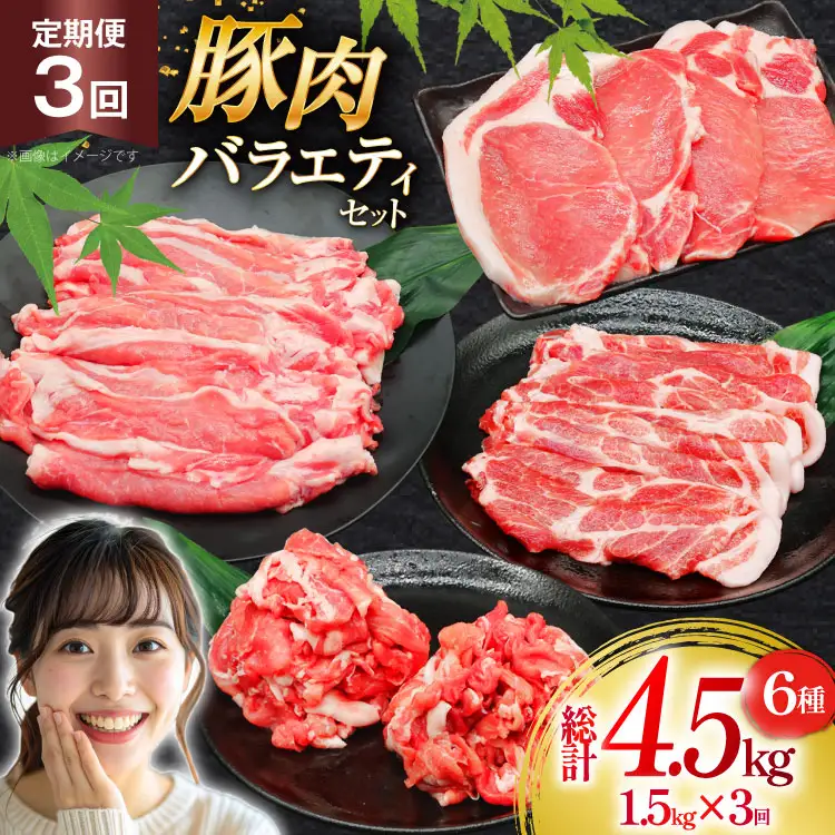 豚肉 バラエティ セット 計1.5kg 3回 定期便 [司フーズ・システム 兵庫県 三田市 3d28bdy500020]