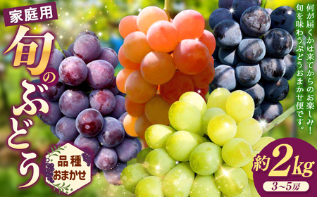 【先行予約】ご自宅用船坂ぶどう 約2kg（3～5房）| 船坂ぶどう ぶどう フルーツ 兵庫県 上郡町 発送は2026年8月16日～2026年10月10日頃予定】