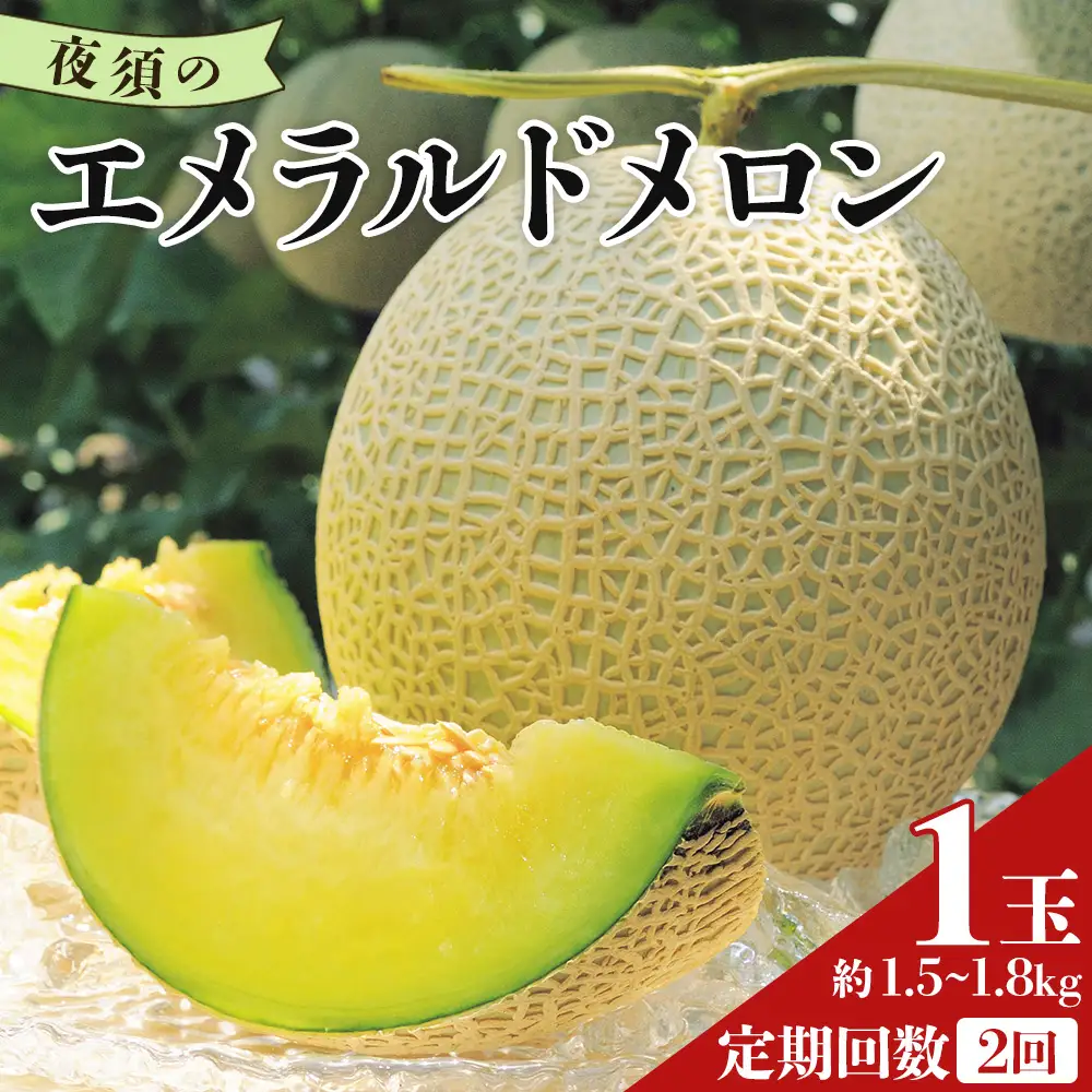 【２回定期便】夜須のエメラルドメロン 1玉 テレビ朝日「ザワつく!金曜日」で特集 紹介 くだもの フルーツ ギフト マスクメロン 青肉 ブランド ギフト 贈答用 ご褒美 高級 1個 お礼 御祝 産地直送 JA 高知県農業協同組合 香南市 常温 Wyu-0057
