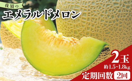【２回定期便】夜須のエメラルドメロン 2玉 テレビ朝日「ザワつく!金曜日」で特集 紹介 くだもの フルーツ ギフト マスクメロン 青肉 ブランド ギフト 贈答用 ご褒美 高級 1個 お礼 御祝 産地直送 JA 高知県農業協同組合 香南市 常温 Wyu-0060
