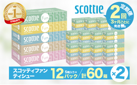 ティッシュペーパー 【 定期便 3ヶ月×2回 】 スコッティ ティシュー ファン 草加市